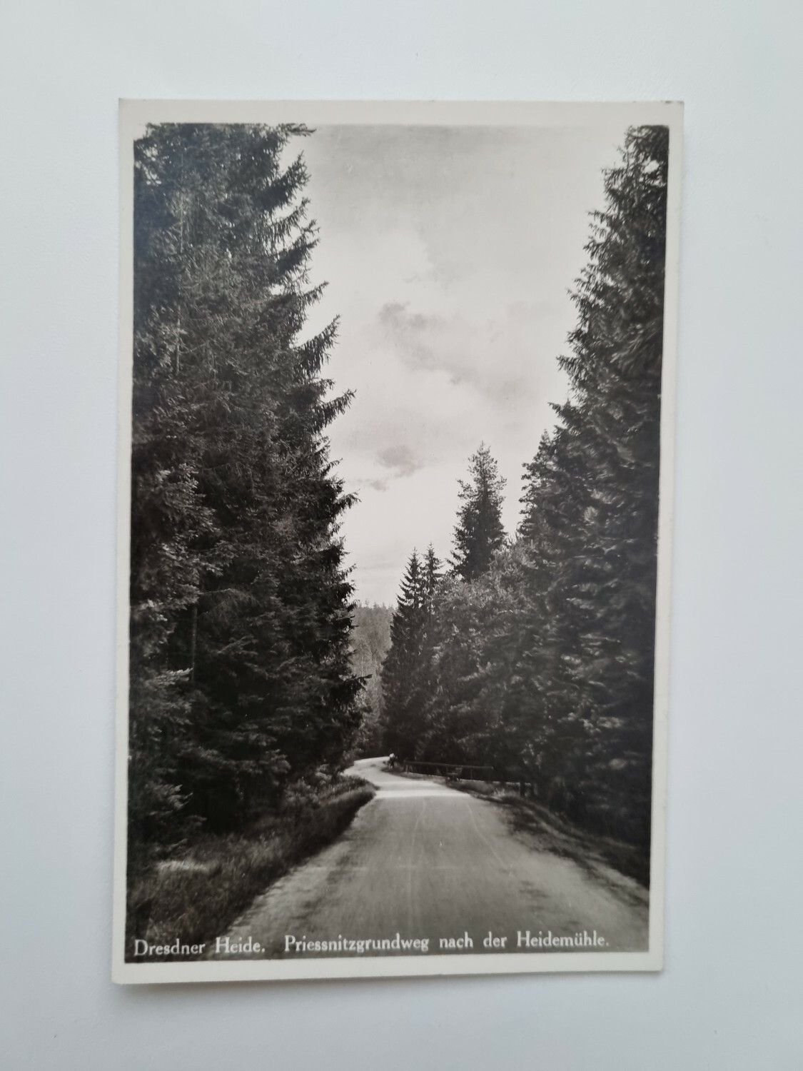 Äldre vykort Dresdner Heide.
