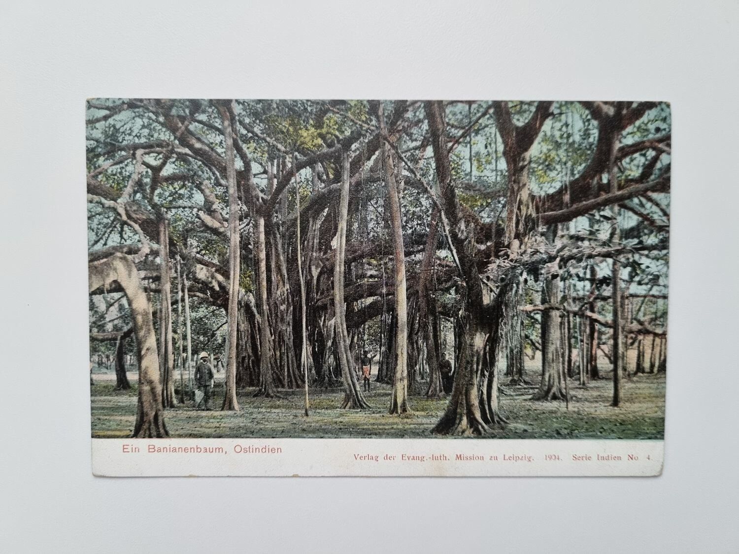 Äldre vykort Ein Banianenbaum, Ostindien