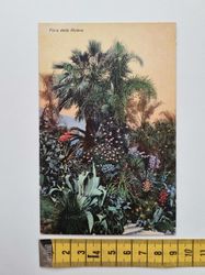 Äldre vykort Flora della Riviera