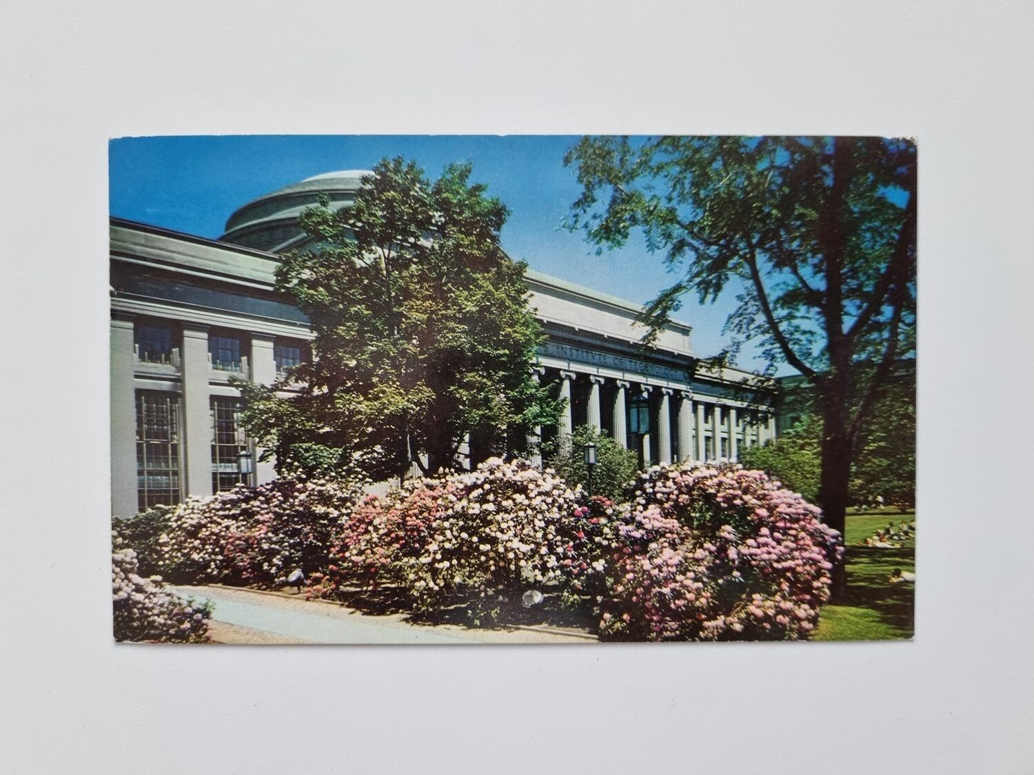 Äldre vykort GREAT COURT MASSACHUSETTS