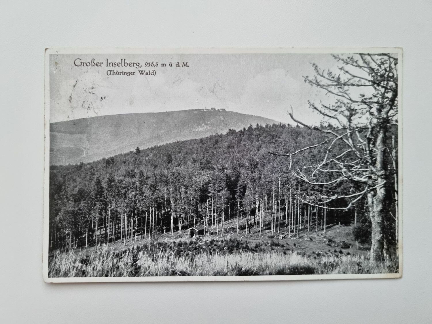 Äldre vykort Großer Inselberg, 916,5 m ü d. M. (Thüringer Wald)