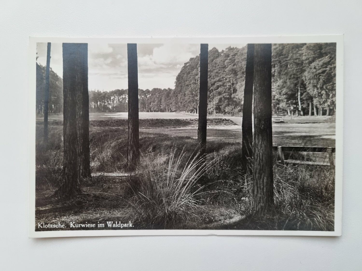 Äldre vykort Klotzsche. Kurwiese im Waldpark