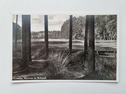 Äldre vykort Klotzsche. Kurwiese im Waldpark