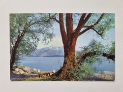 Äldre vykort natur