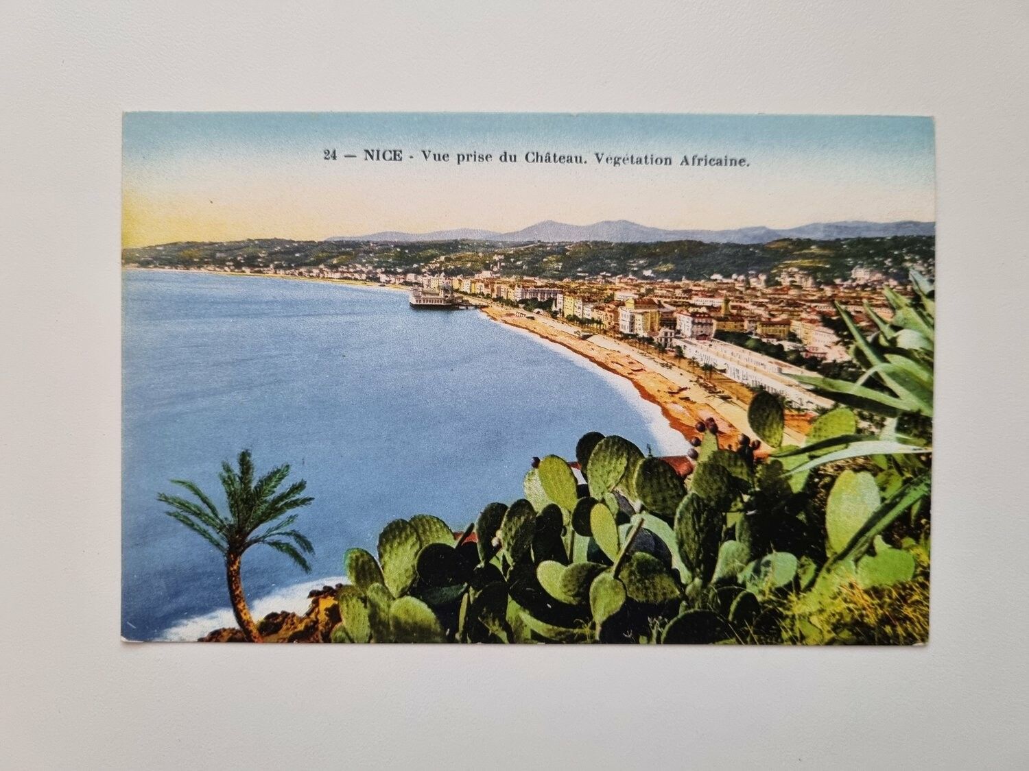 Äldre vykort NICE Vue prise du Château. Vegetation Africaine