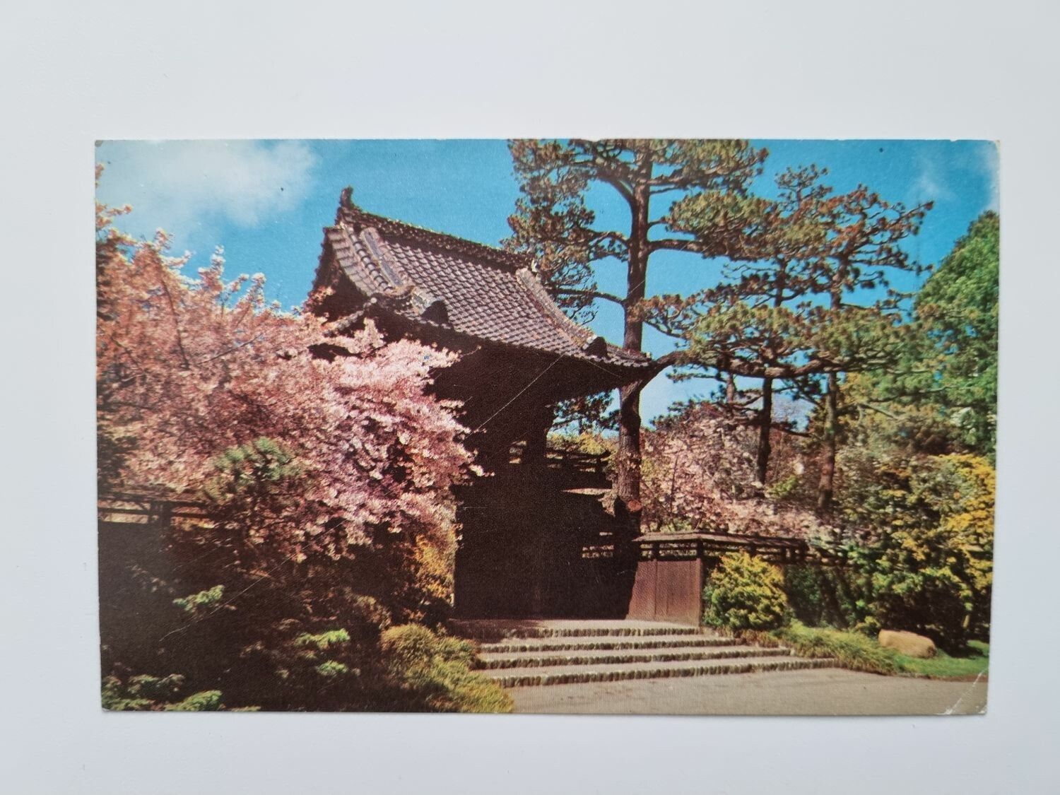 Äldre vykort ORIENTAL TEA GARDEN San Francisco, California
