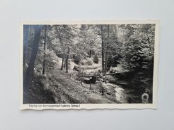 Äldre vykort Partie im Kirnitzschtal (sächs. Schw.)