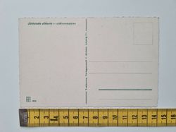 Äldre vykort Sächsische Schweis - Schrammsteine
