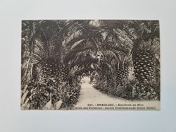 Äldre vykort BRAULIEU. - Environs de Nice