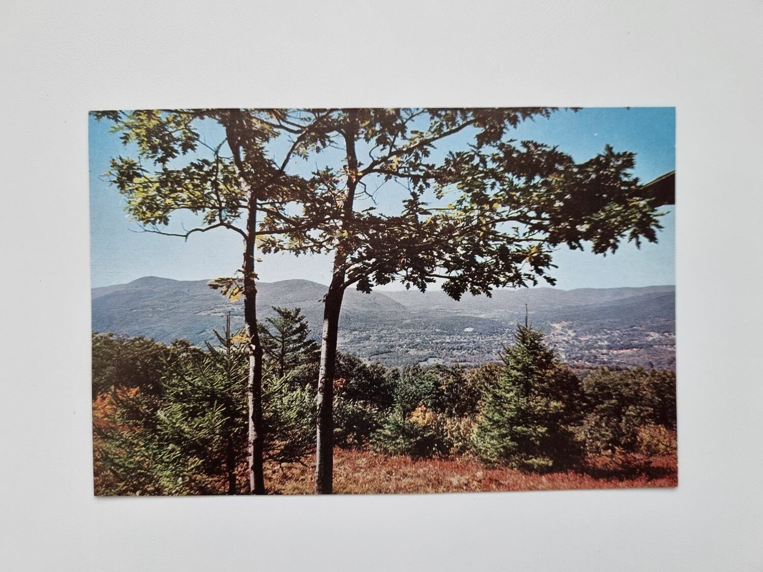 Äldre vykort/bild Mt. Grey
