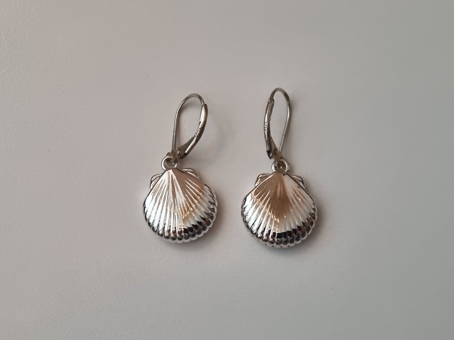 Örhängen Snäckskal i sterling silver