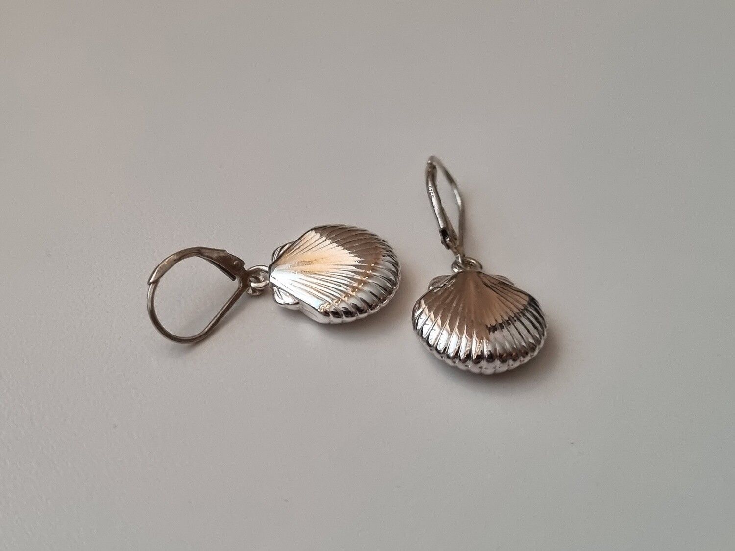 Örhängen Snäckskal i sterling silver