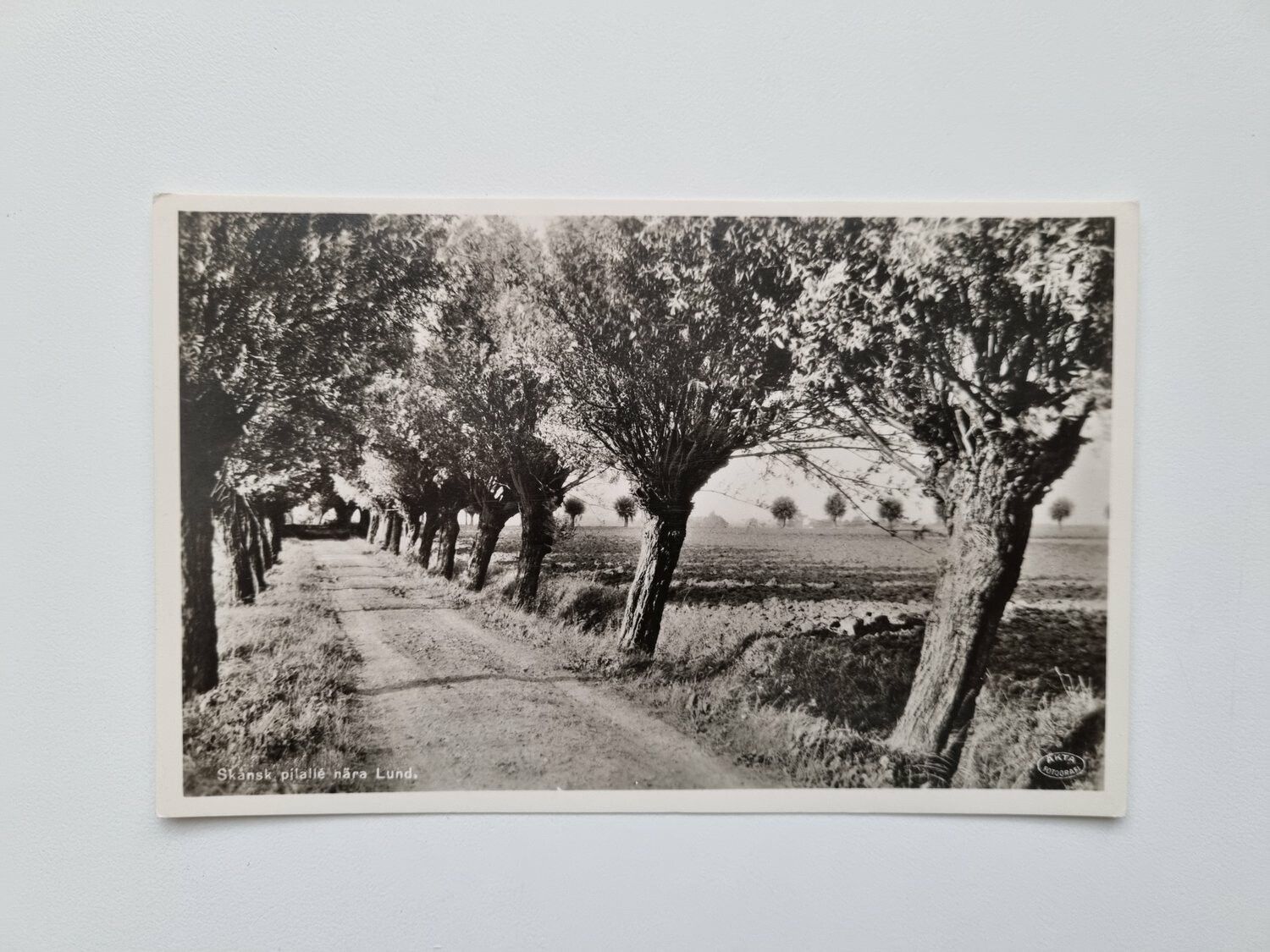 Vykort Skåne