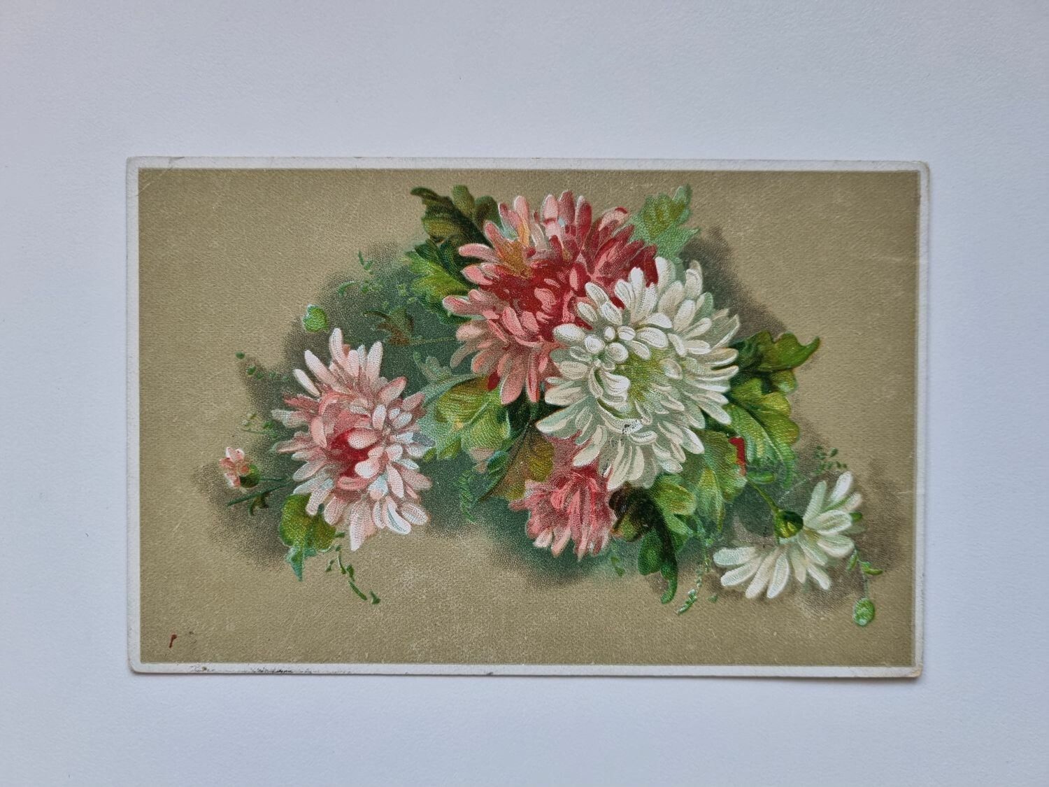 Vykort Blommor, 1921
