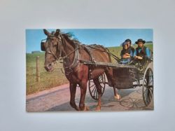 Vykort GREETINGS From The Amish Country