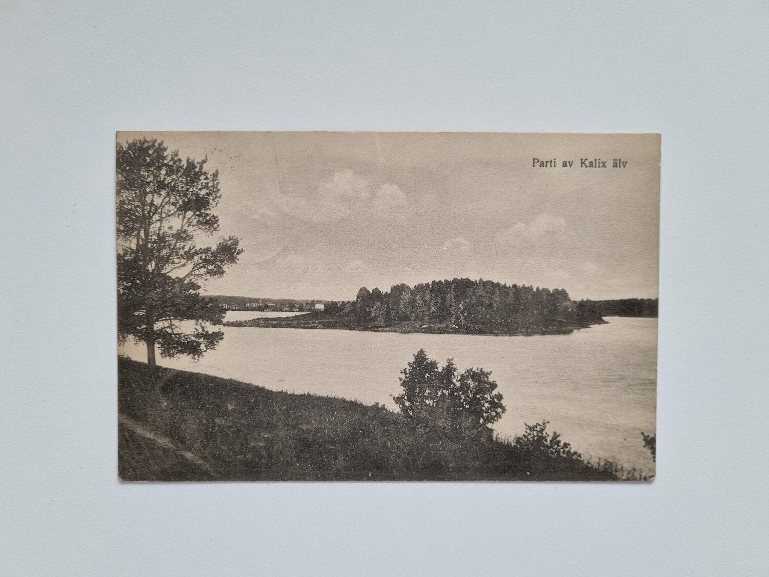 Vykort Parti av Kalix älv, 1918