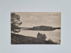 Vykort Parti av Kalix älv, 1918