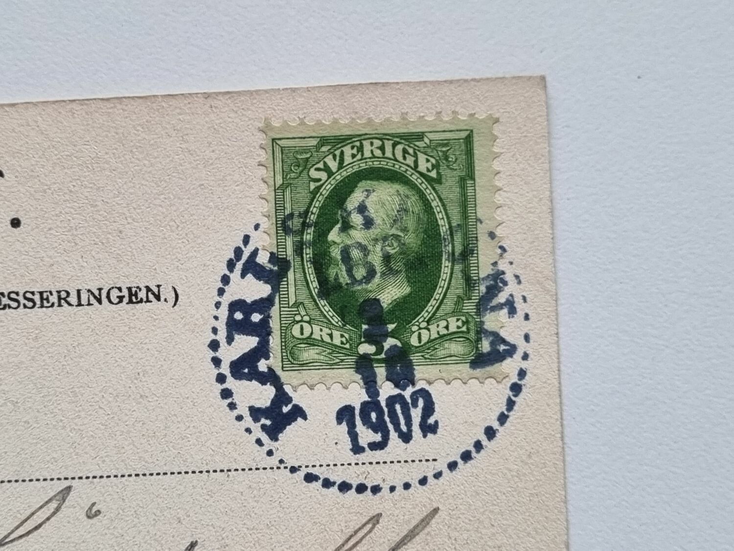 Vykort Carlskrona, Parti af Hoglands Park, 1902