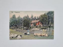 Vykort Ed. Topperud 1907