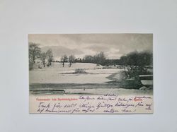 Vykort Vintermotiv från Stadsträdgården, Gefle 1902