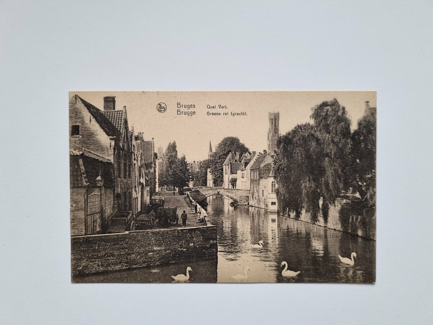 Vykort Belgium Brugge. Groene rei