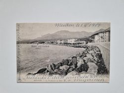 Vykort MENTON. La Promenade du Midi, 1904
