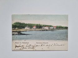 Vykort Danmark, Hilsen fra Marienlyst Marienlyst Villapartie