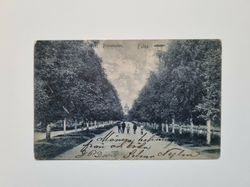 Vykort Promenaden Falun, 1906