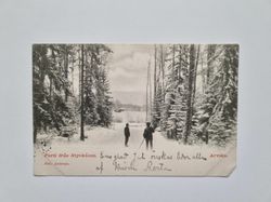 Vykort Arvika 1901. Parti från Styckåsen