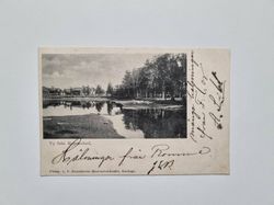 Vykort Vy från Rommehed, 1902
