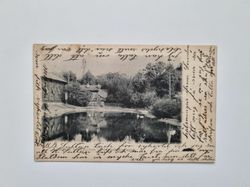 Vykort Göteborg. Säldammen i Trädgårdsföreningen, 1902