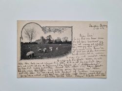 Vykort stämplad 1902