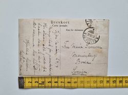 Vykort hundvalpar, 1906