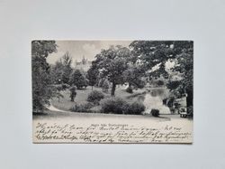 Vykort Göteborg. Motiv från Slottsskogen, 1907