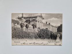 Vykort Forsmark. Parti af trädgården, 1902