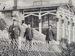 Vykort Forsmark. Parti af trädgården, 1902