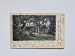 Vykort Göteborg Parti från Slottsskogen, 1902