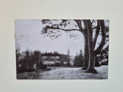Vykort Jönköping. Stadsparken, 1920