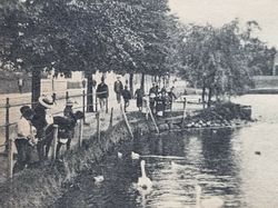 Vykort Landskrona. Fågeldammen
