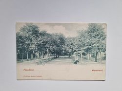 Vykort Paradiset, Marstrand Fredrique Anders Lånbibl.