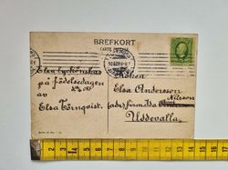 Vykort Kvinna plockar blommor., 1908