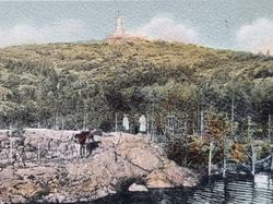 Vykort Göteborg. Hjortparken i Slottskogen
