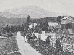 Vykort Jämtland. Åreskutan