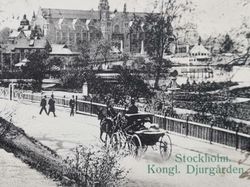 Vykort Stockholm. Kongl. Djurgården