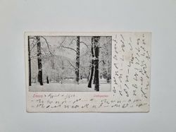 Vykort Örebro Slottsparken, 1902