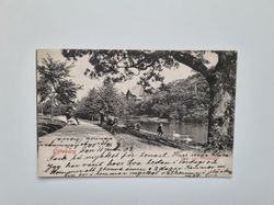 Vykort Göteborg Parti från Slottsskogen, 1902