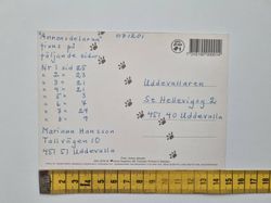 Vykort hästar