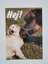 Vykort häst med hund