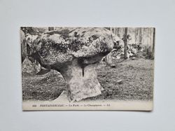 Vykort FONTAINEBLEAU. La Forêt. Le Champignon