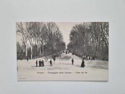 Vykort Firenze Passeggiata delle Cascine Viale del Re